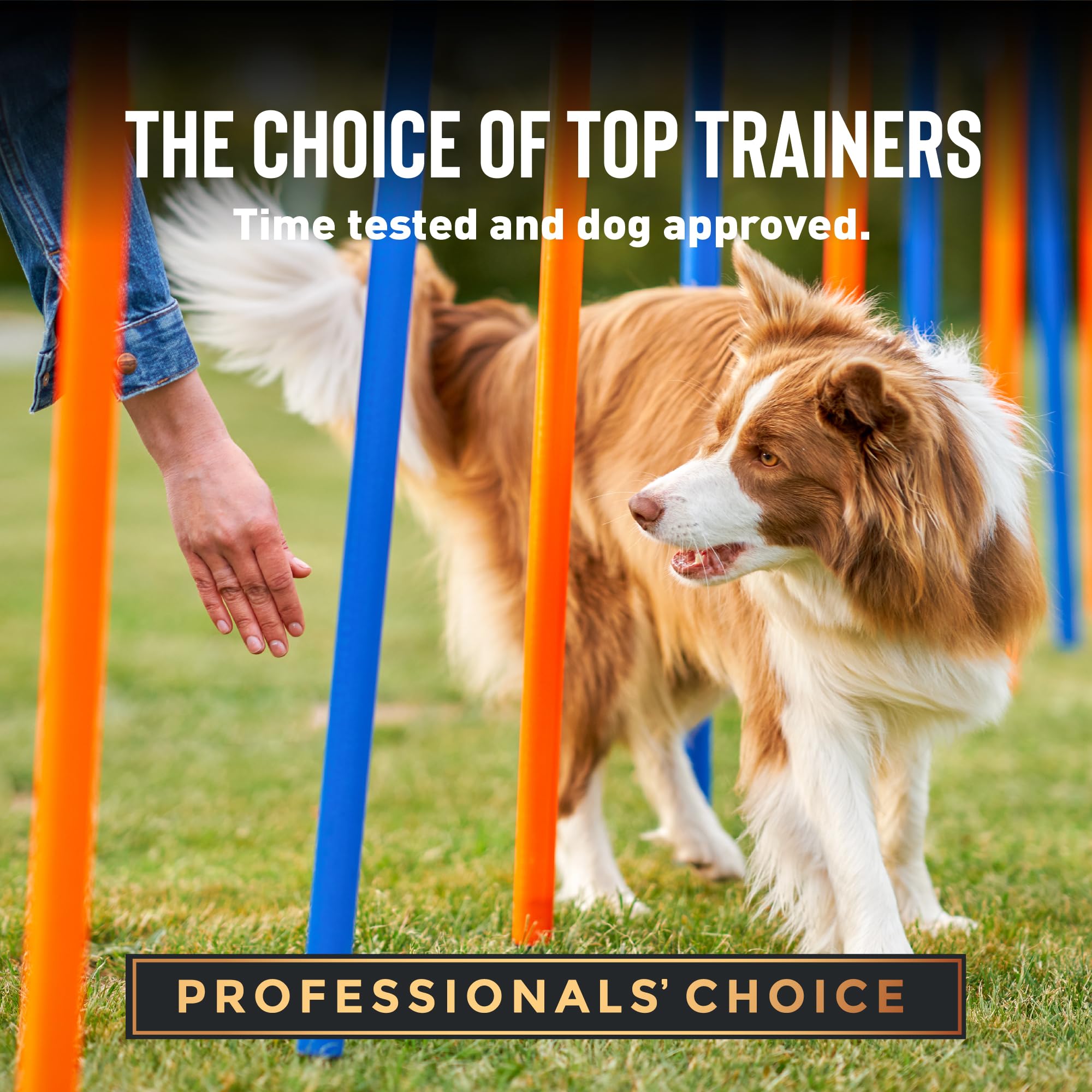 Pork liver-based formula in Cloud Star Tricky Trainers for tasty training rewards.