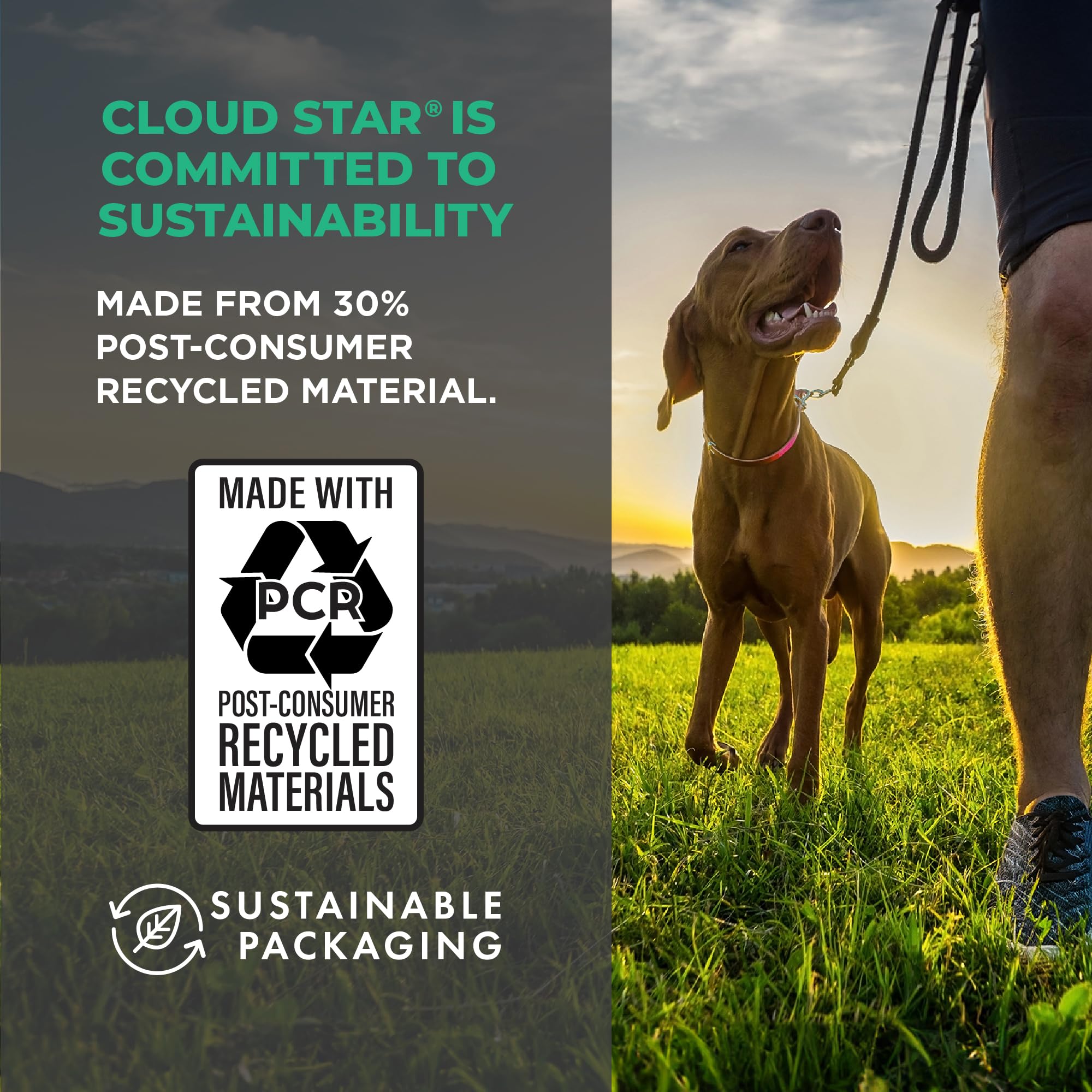 Cloud Star Wag More Bark Less small-batch production for consistent flavor.