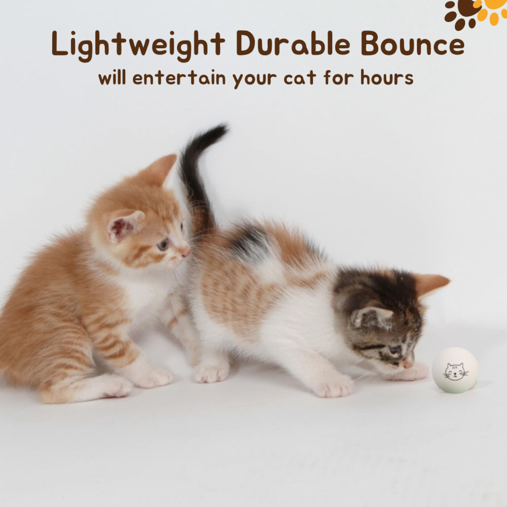 Cloverjoyed ping pong ball close-up highlights durable, safe play for pets.
