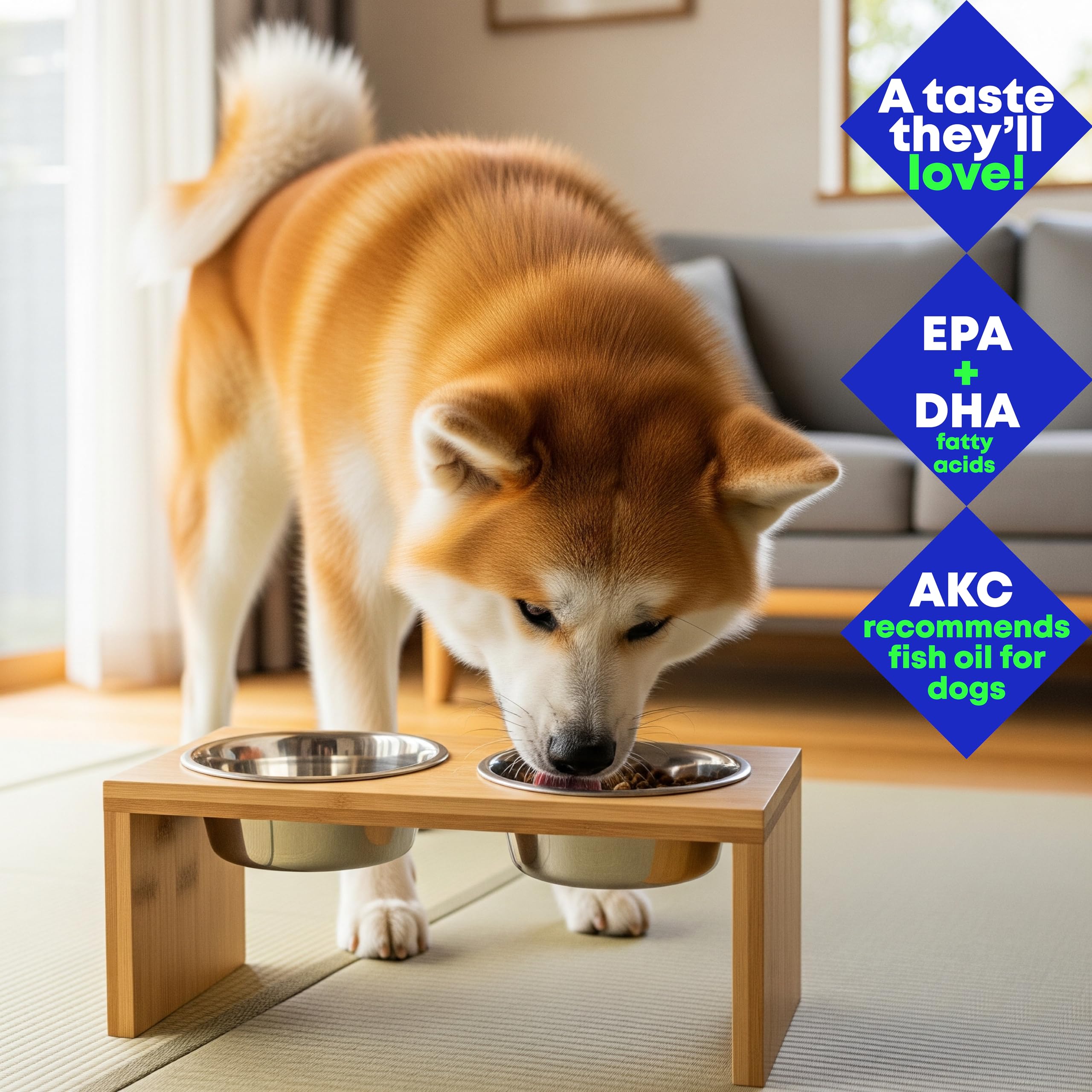 Club Hachiko dog enjoying the taste topper signals appeal and easy consumption.