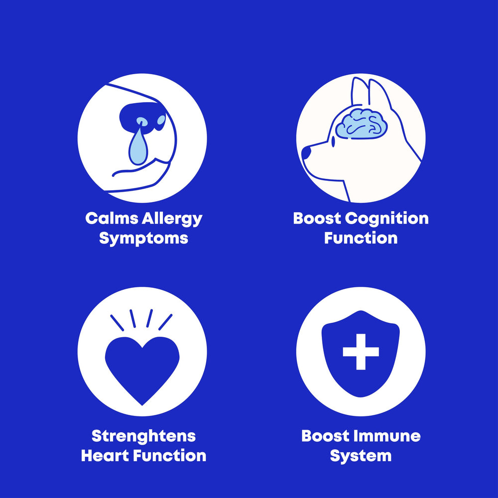 Club Hachiko EPA and DHA focus supports joints and mobility.