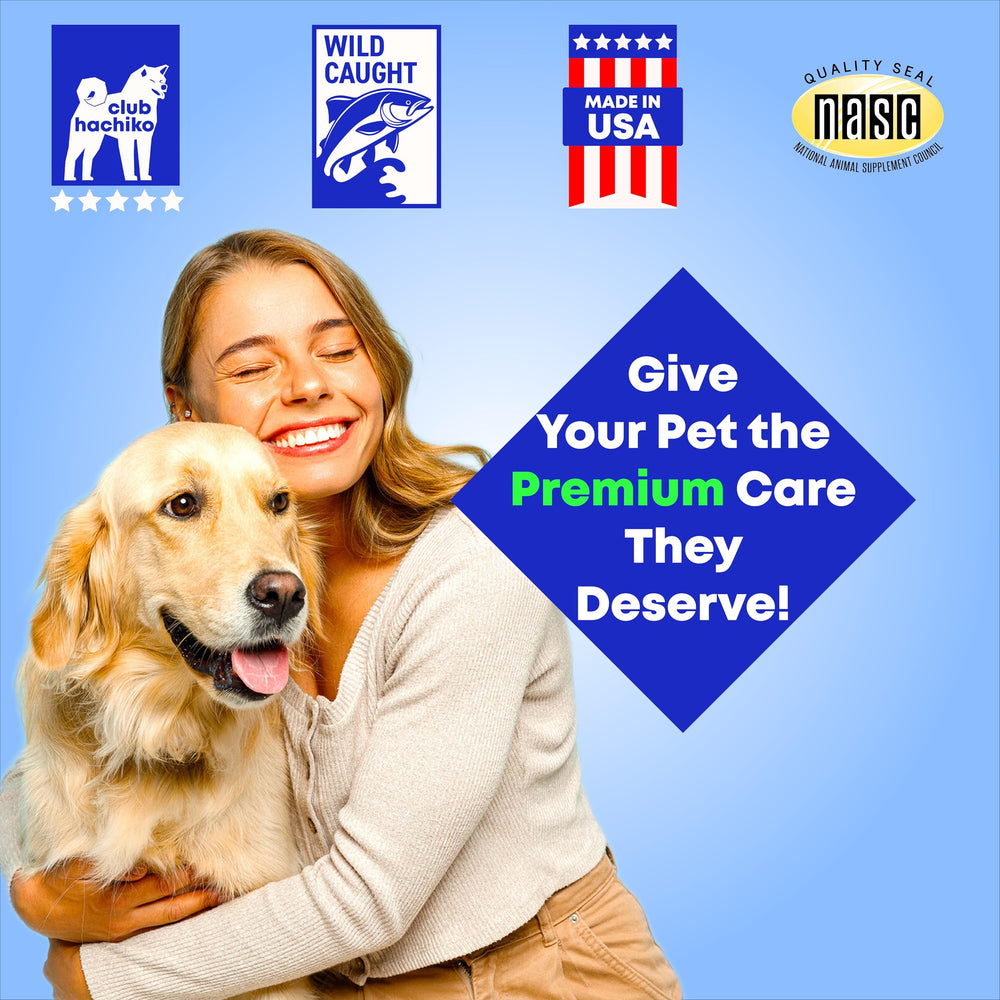 Club Hachiko omega-3 skin-health closeup suggests nourishment for coat and skin balance.