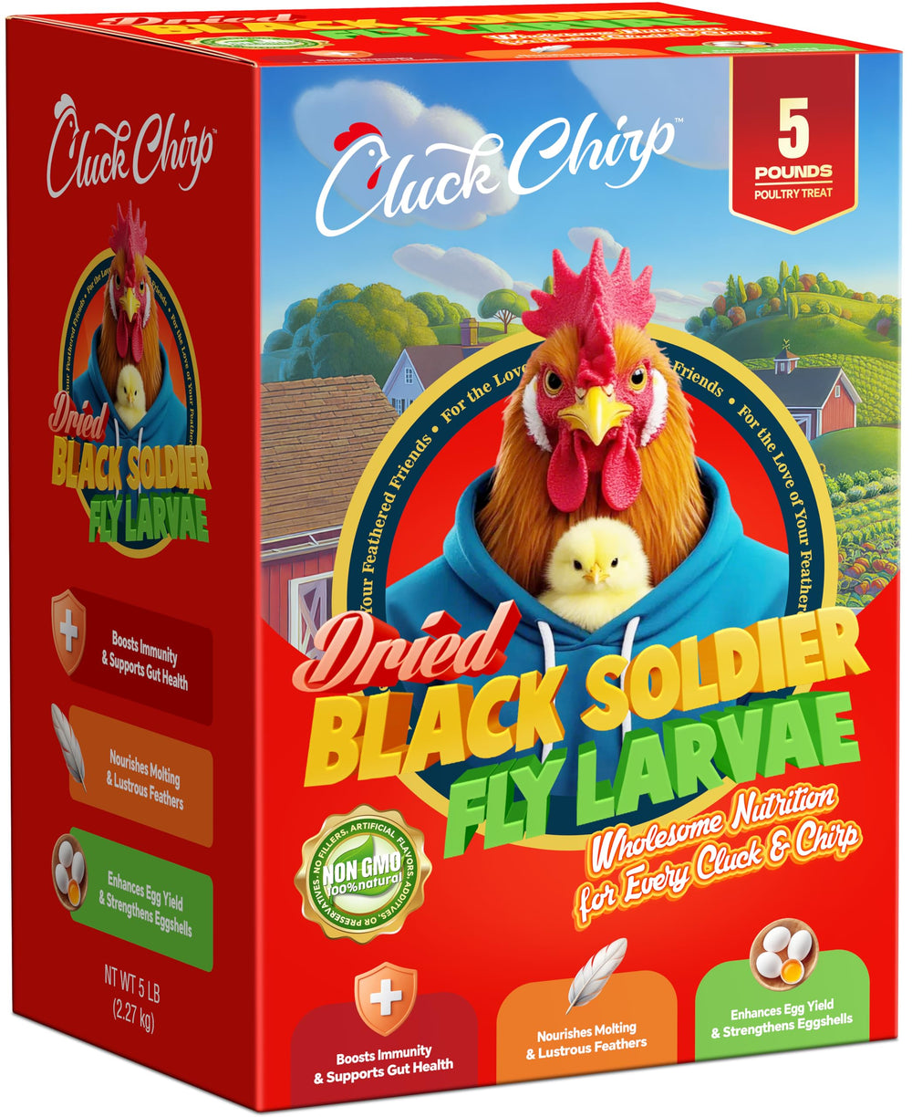 Cluck Chirp dried BSFL larvae pack, protein-rich poultry treat for backyard flocks.