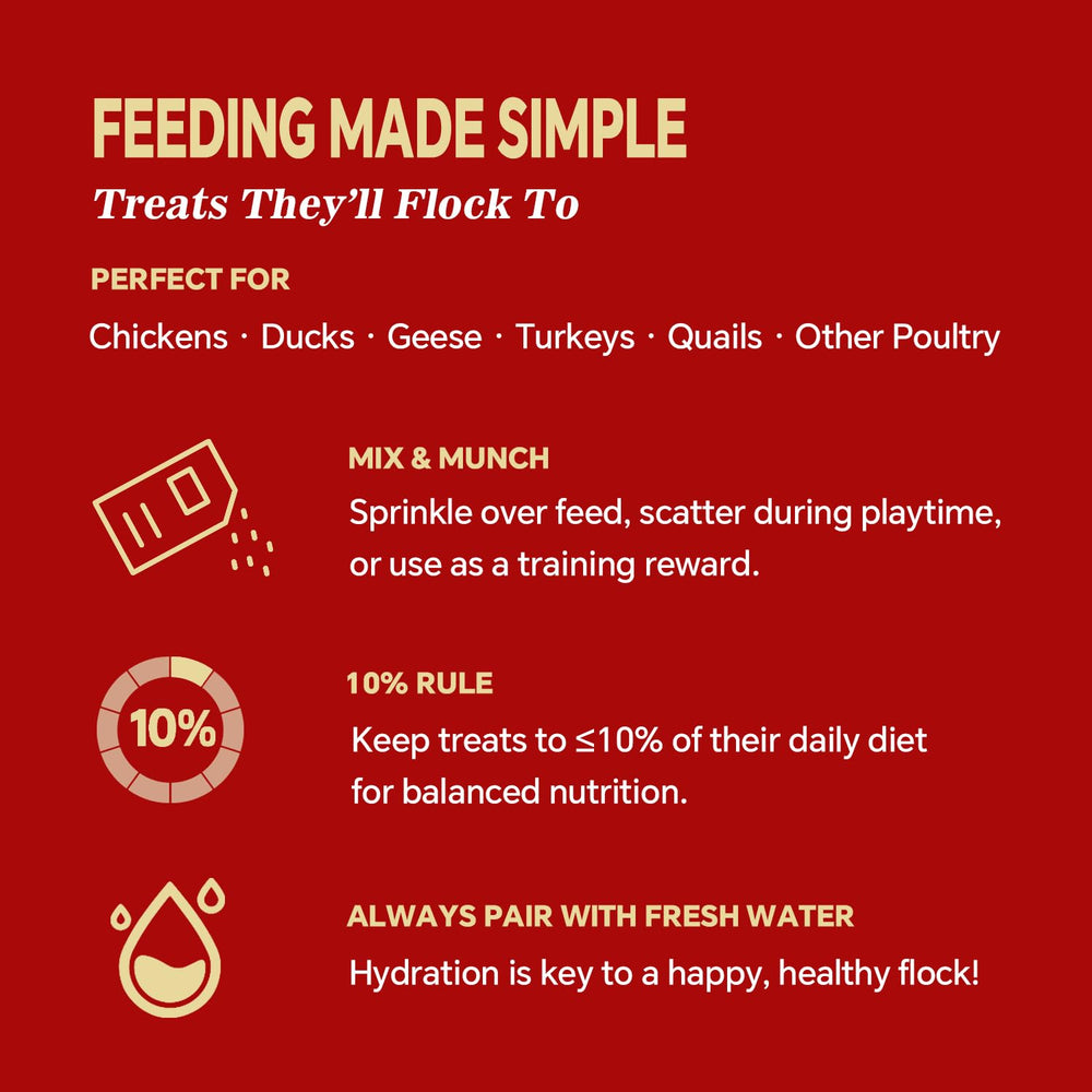 Cluck Chirp immune-support BSFL closeup, essential fats for digestion and vitality.