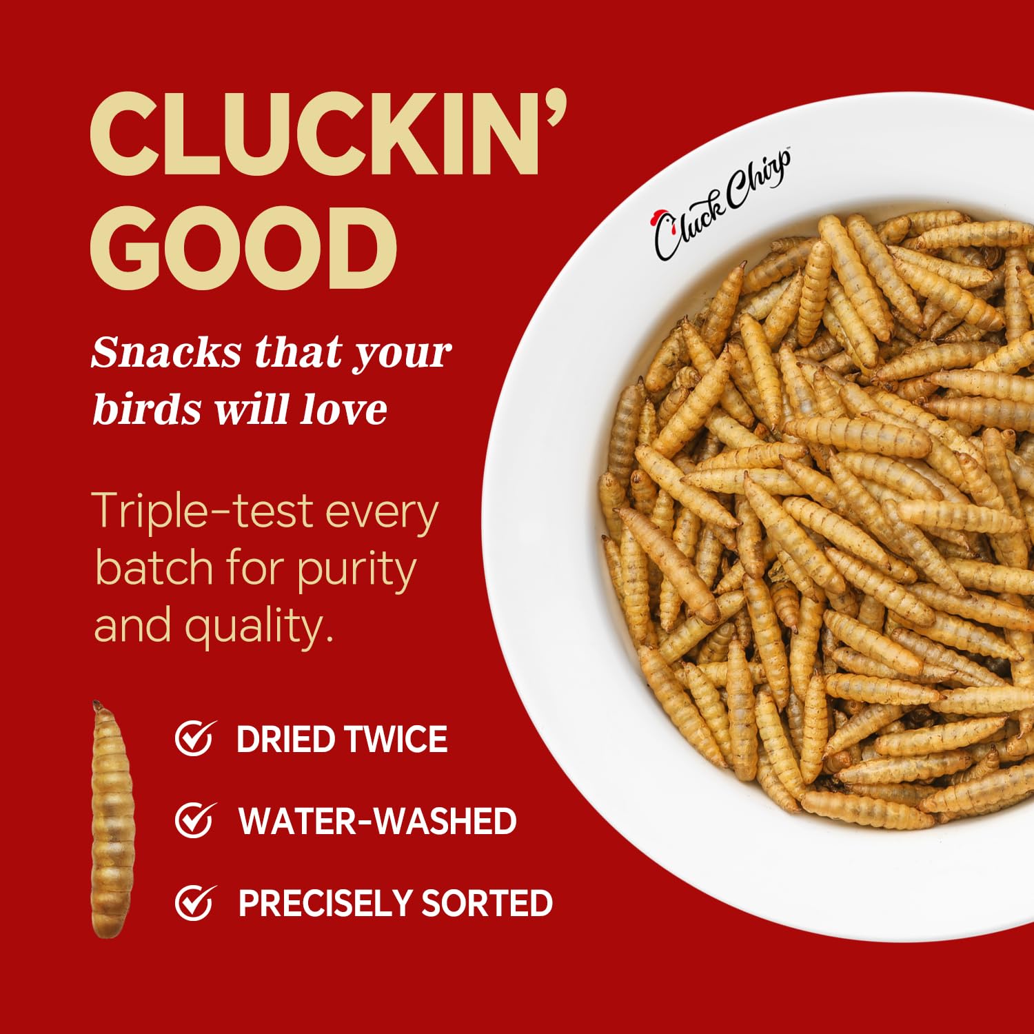 Cluck Chirp BSFL closeup, high-protein snack for stronger eggs and muscles.