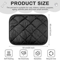 Clysee 16x20 inch cat mat offers roomy warmth for cats and small dogs.