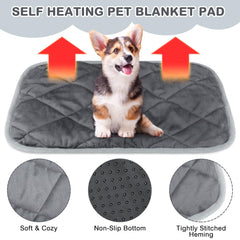 Clysee 4-pack on shelf highlights versatile coverage for pets and rooms.