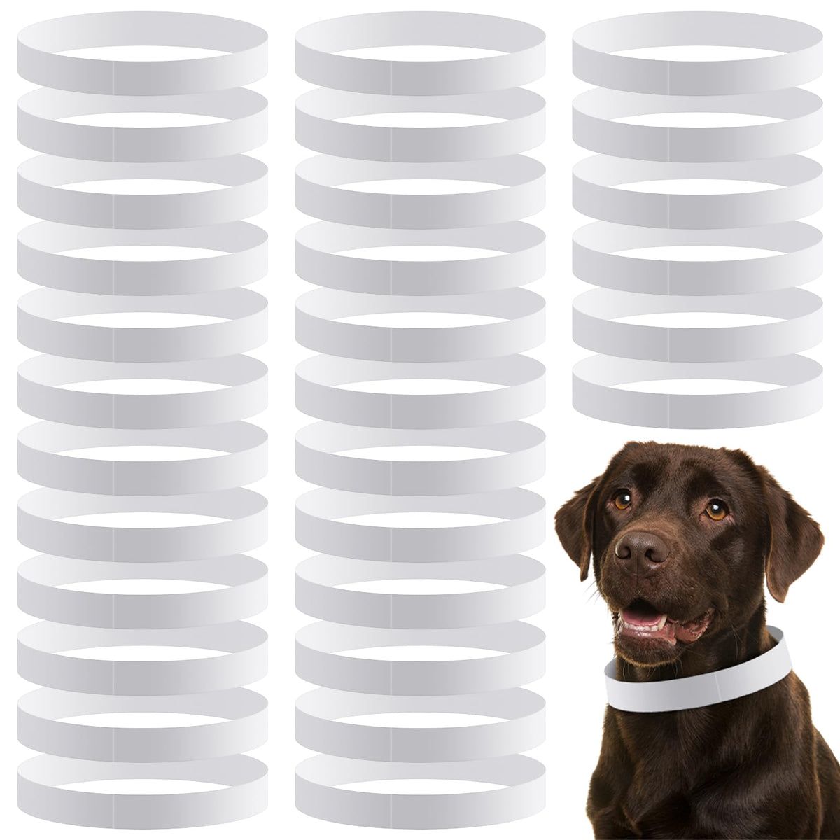Clysee 500-count white pet ID collars ready for quick labeling and newborn identification.