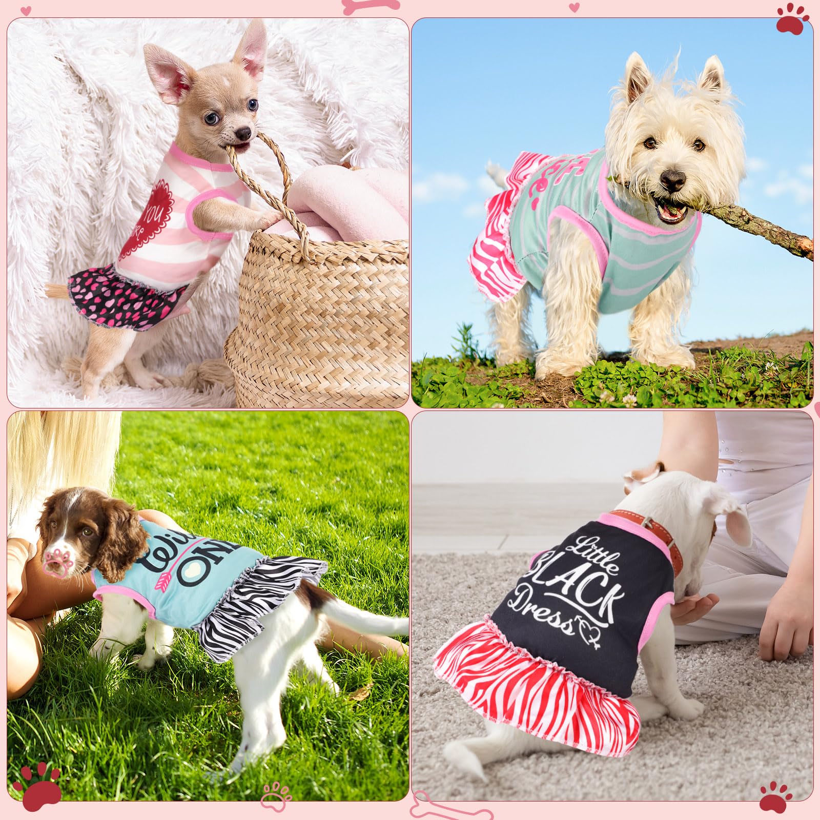 Clysee 6-pack outfits for small pets enable quick outfit changes.