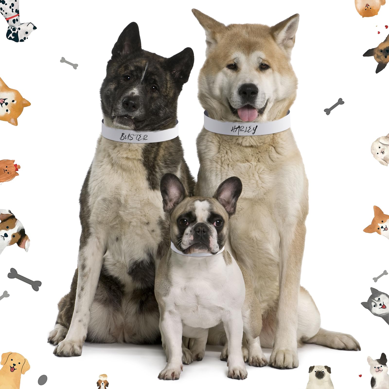 Clysee adhesive ID tags provide space to write essentials for quick care.