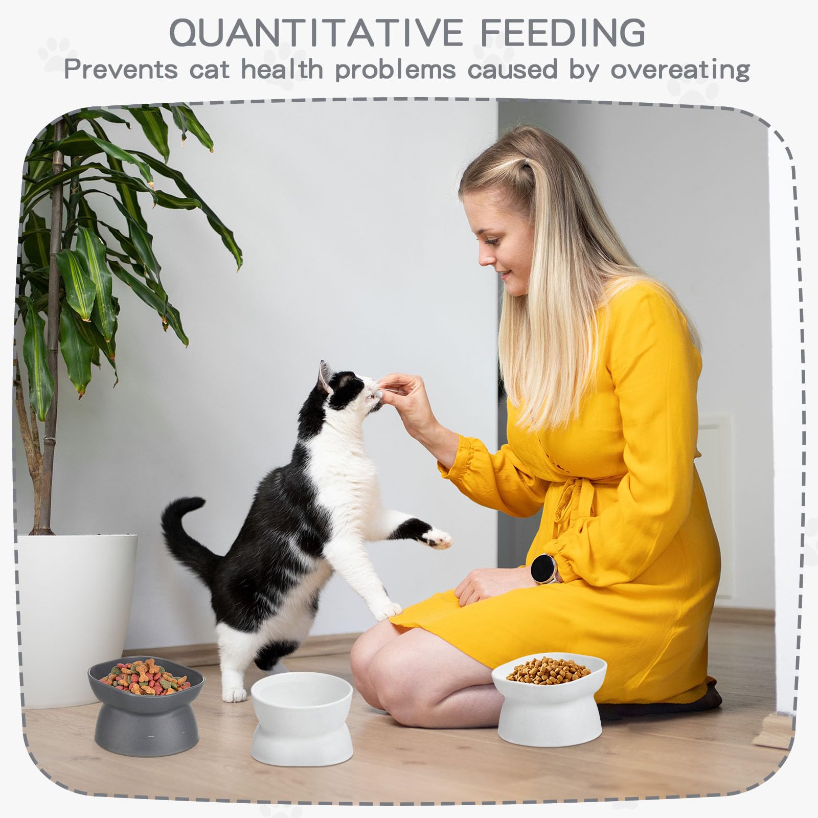 Clysee raised cat bowls with sturdy non-tip base for stable feeding