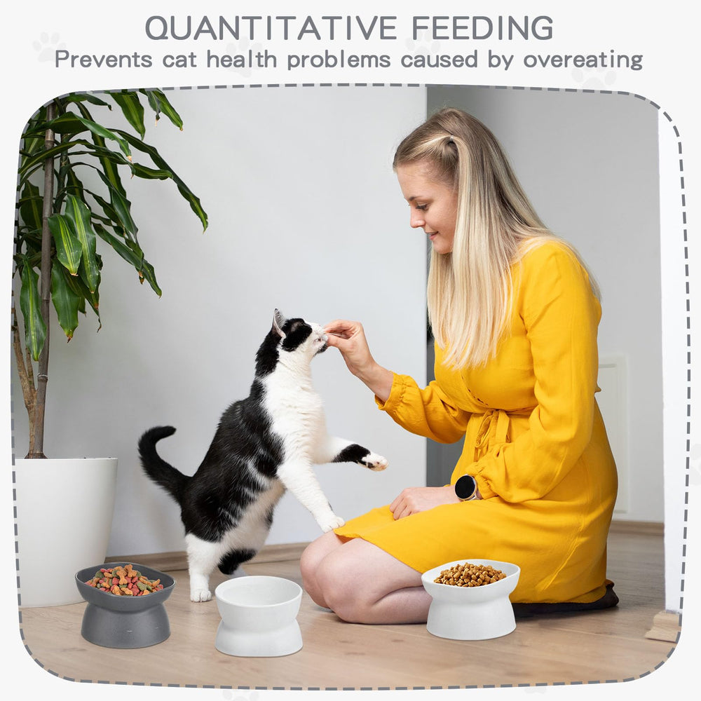 Clysee raised cat bowls with sturdy non-tip base for stable feeding