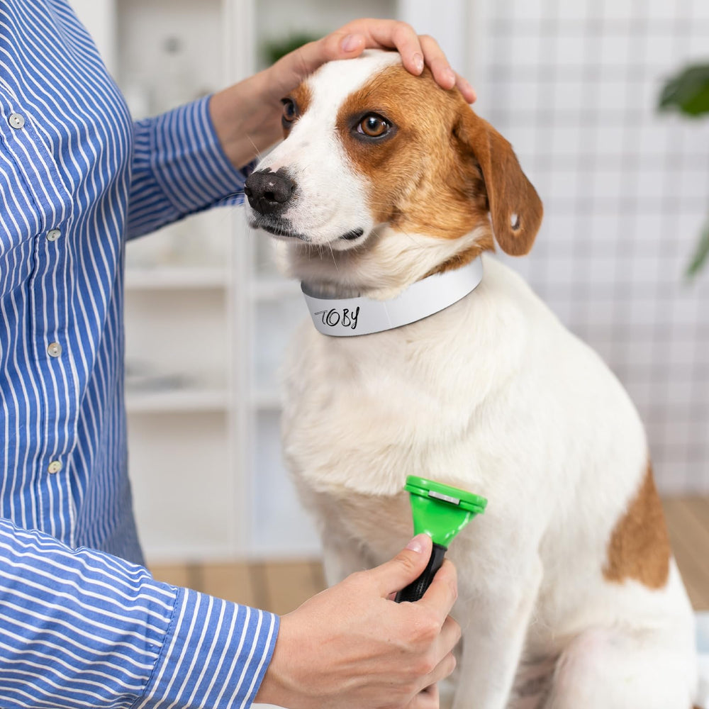 Clysee latex-free collar safeguards gentle skin and reduces irritation for sensitive pets.