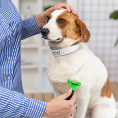 Clysee latex-free collar safeguards gentle skin and reduces irritation for sensitive pets.
