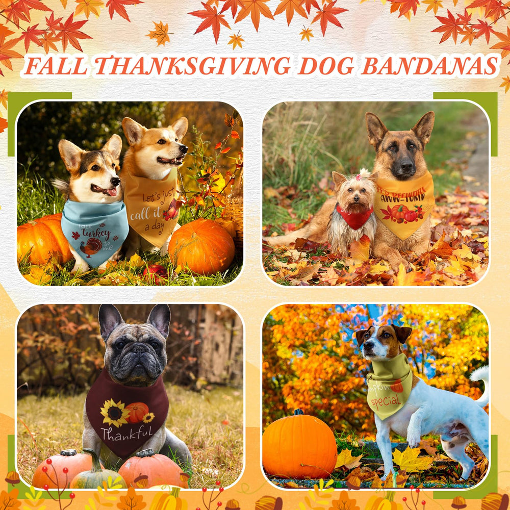 Clysee pet bandanas with sayings design patterns for seasonal photoshoots