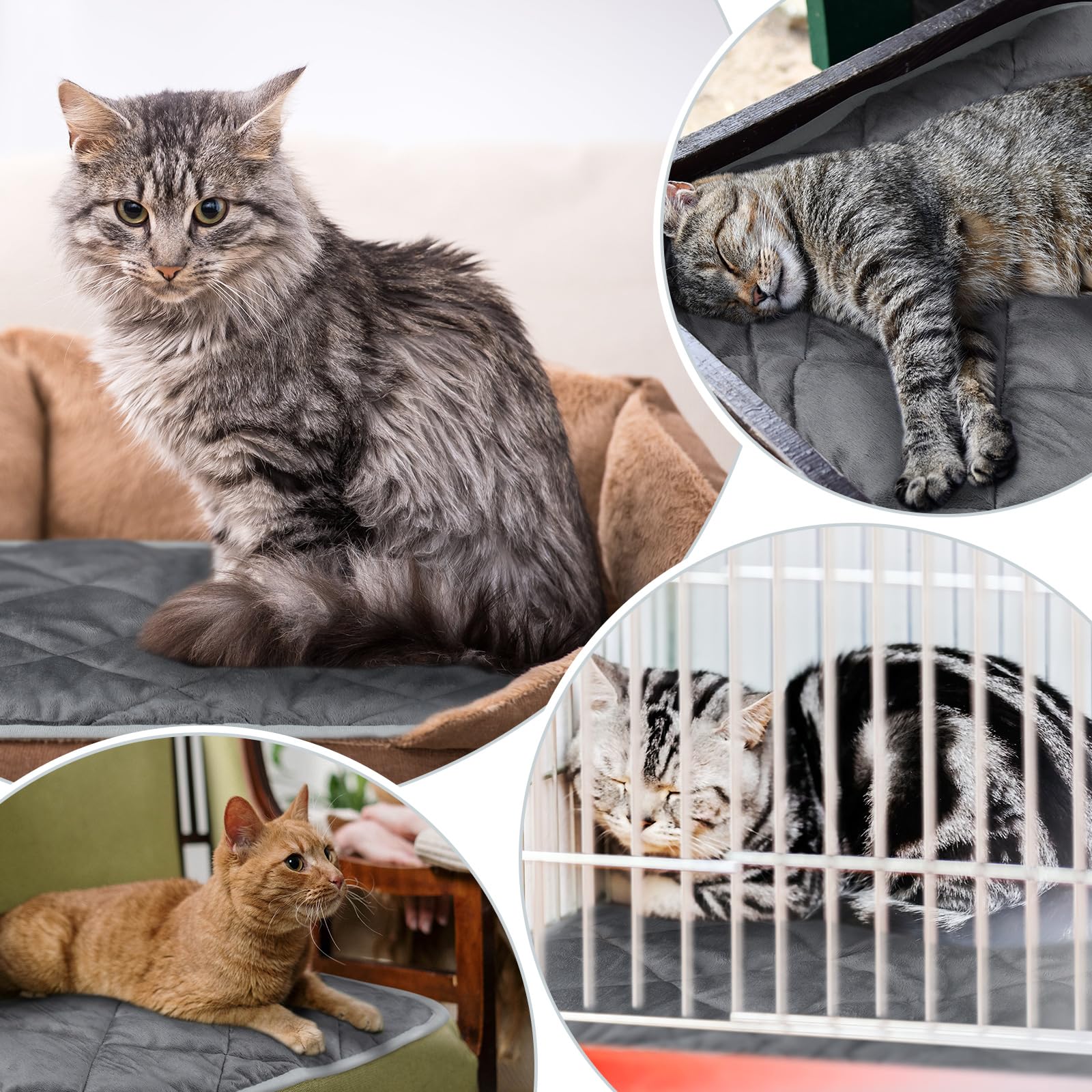 Clysee dog bed on sofa demonstrates portable warmth for lounging indoors.