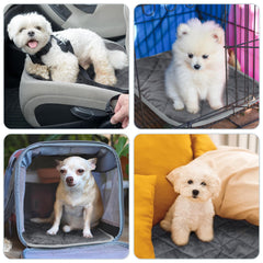 Clysee pet mat placed on sofa or crate provides a snug nap spot.