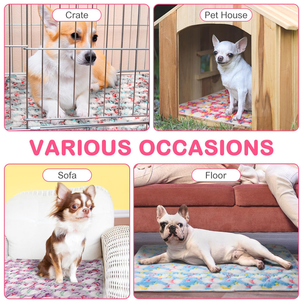 Clysee self-heating cat bed in crate or on sofa for versatile use