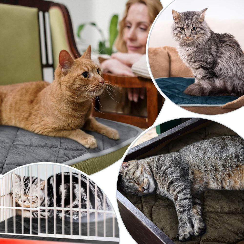 Clysee self-heating pet mat captures cat-napping scene highlighting noiseless comfort.