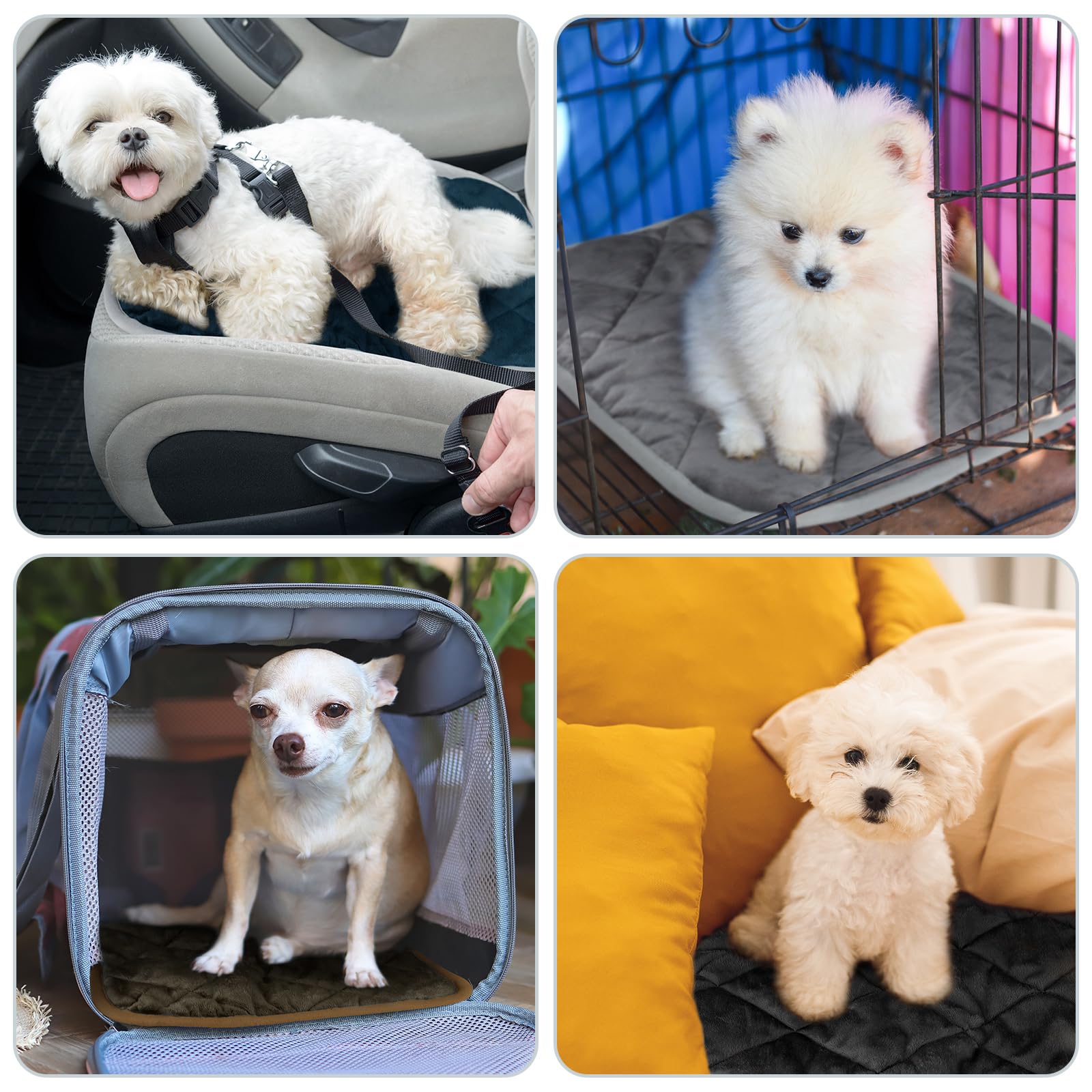 Clysee self-heating pet mat displays five-layer design for lasting warmth.