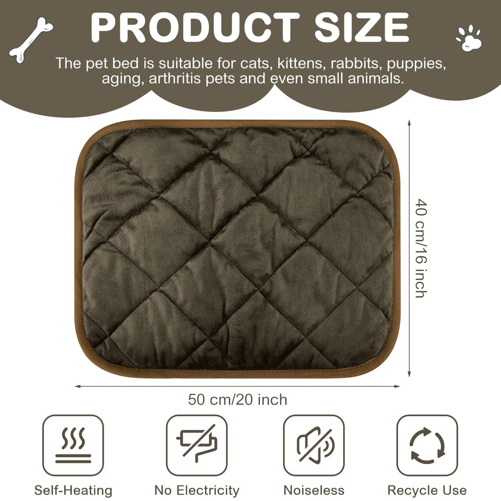 Clysee self-heating pet pad on sofa demonstrates no-plug warmth for cats