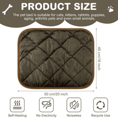 Clysee self-heating pet pad on sofa demonstrates no-plug warmth for cats
