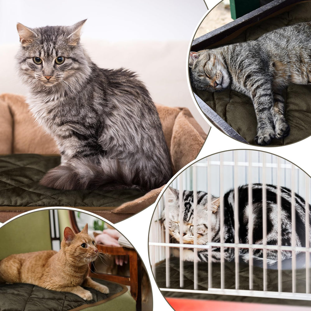 Clysee pet mat in coffee color at outdoor shelter for winter warmth option