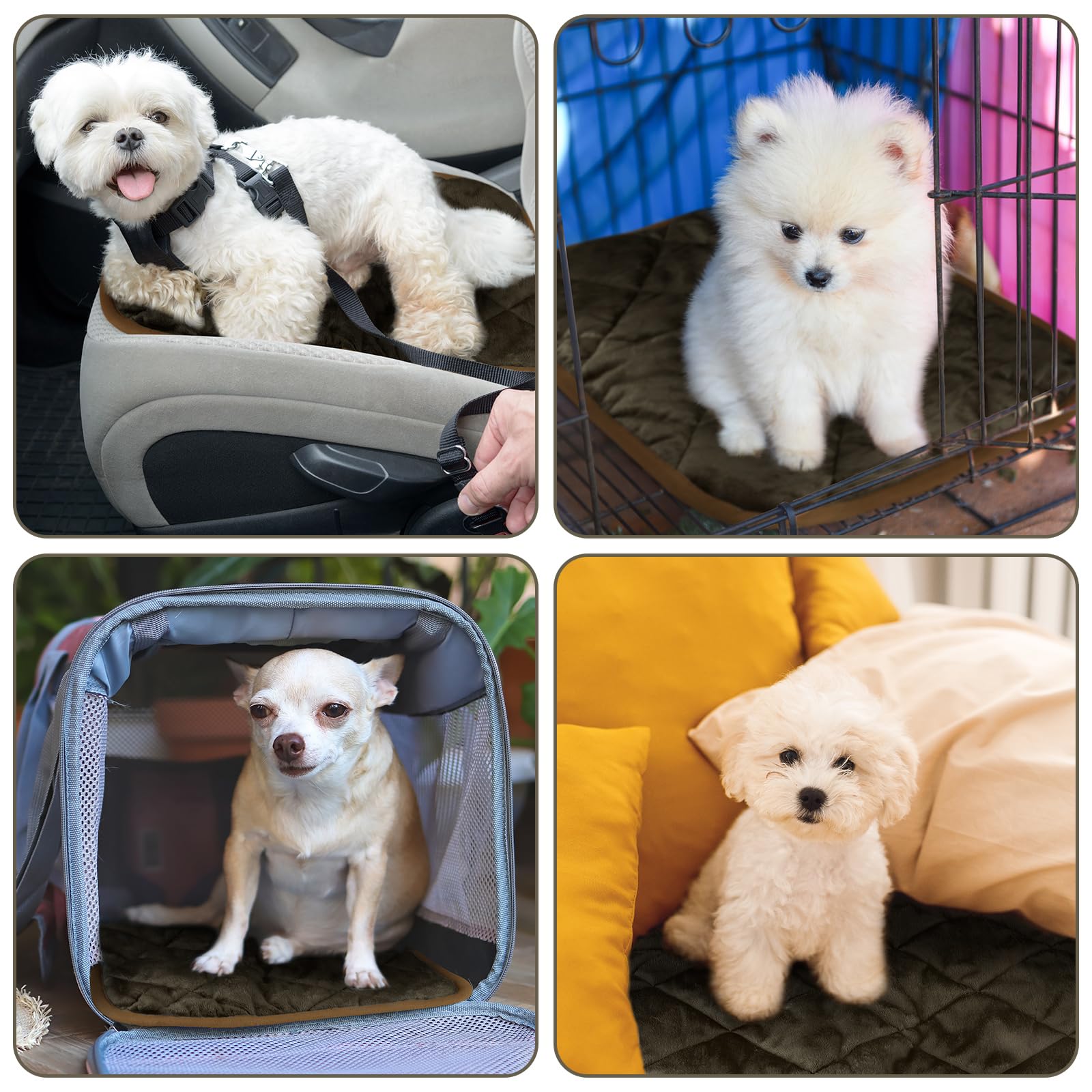Clysee self-heating mat on a dog bed showing plush fabric feel
