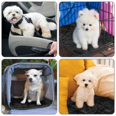 Clysee silent-cozy-pet-pad offers noiseless comfort for naps.