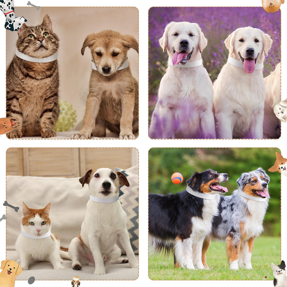 Clysee vet-hospital ready puppy ID label pack helps newborns be identifiable.