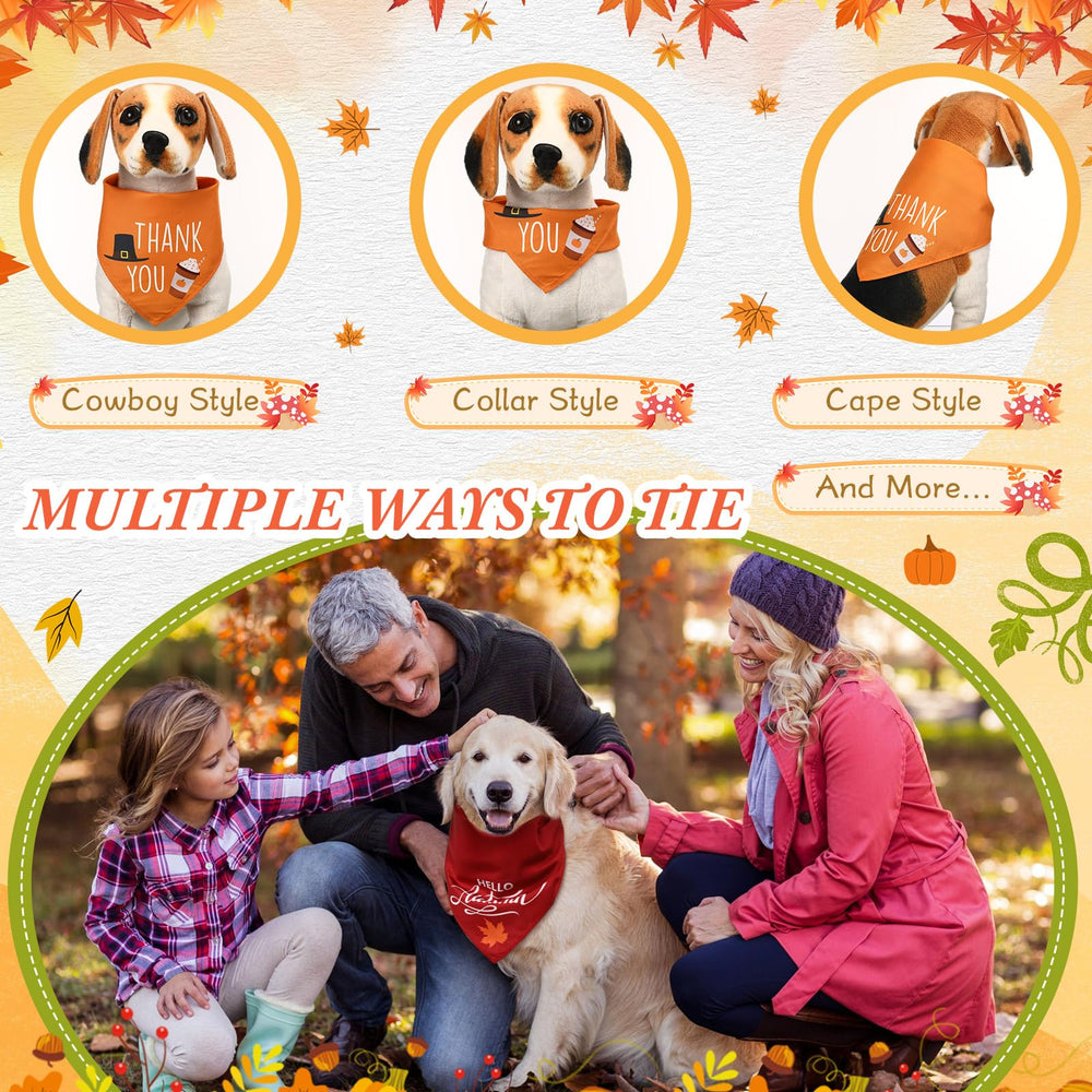 Clysee washable, durable bandanas stay vibrant through repeats