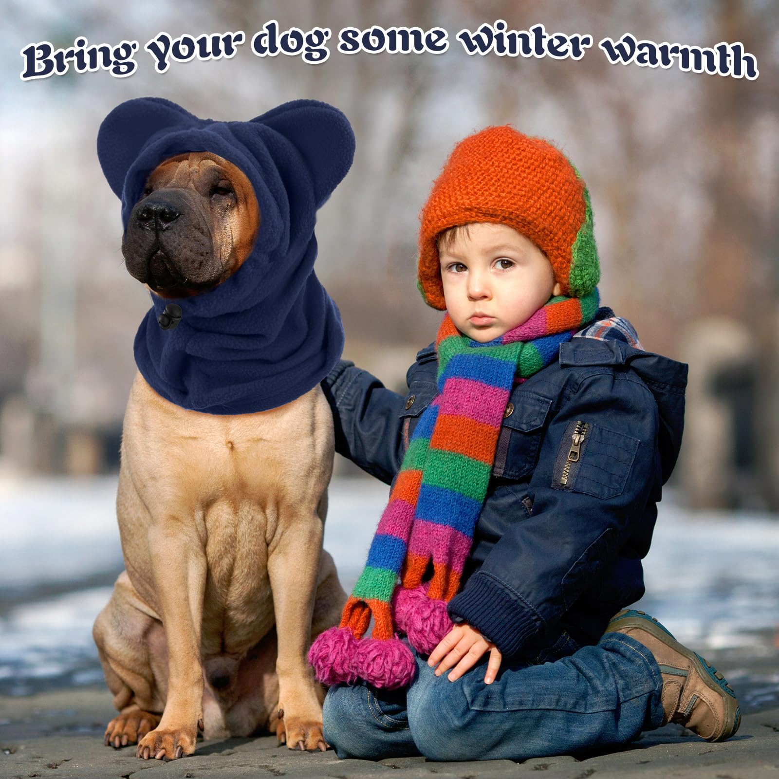 Clysee Winter Dog Hat on dog during stylish winter walk for visibility