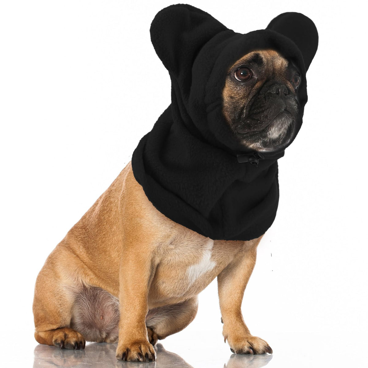 Clysee winter dog hats quiet ears show calm comfort during walks.