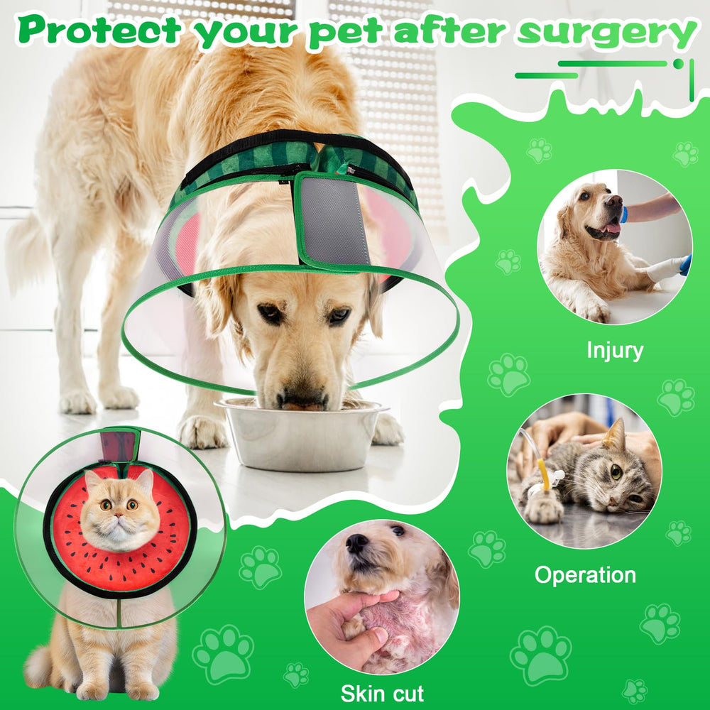 CNEO collar assembly instructions image guides quick setup and secure fit