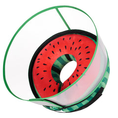 CNEO inflatable dog cone front view showing protective design without blocking vision during recovery