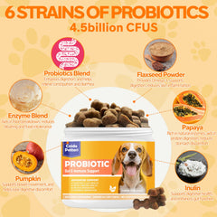 Cnido Petteri probiotic dog soft-chews easy feeding and gut health