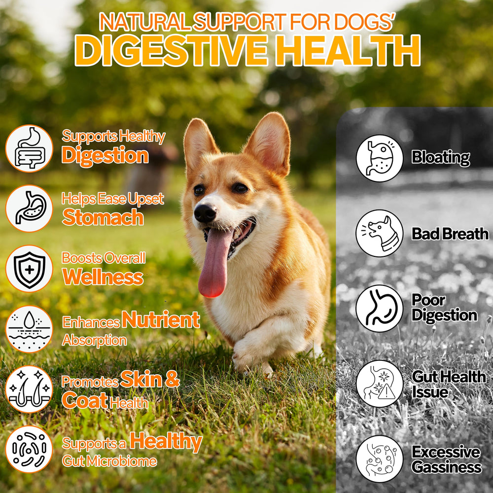Cnido Petteri probiotic ingredients pumpkin and flaxseed for skin and coat