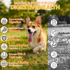Cnido Petteri probiotic ingredients pumpkin and flaxseed for skin and coat