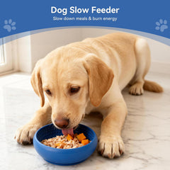 CNMSGM BPA-free silicone provides a safe, gentle surface for your dog's tongue