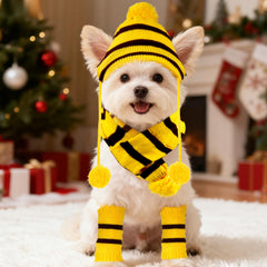 cnomg dog leg warmers collection shows paw protection in cold weather