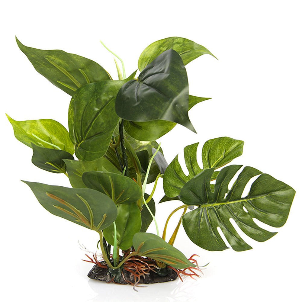 CNZ Aquarium Plastic Plant with ceramic base provides a natural hideout for fish.
