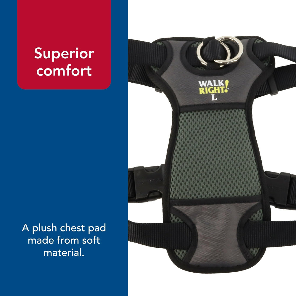Coastal Adjustable harness suits small to large breeds for a secure, customized fit