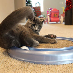 Coastal Bergan Turbo Scratcher pads clip-on design enables quick swaps