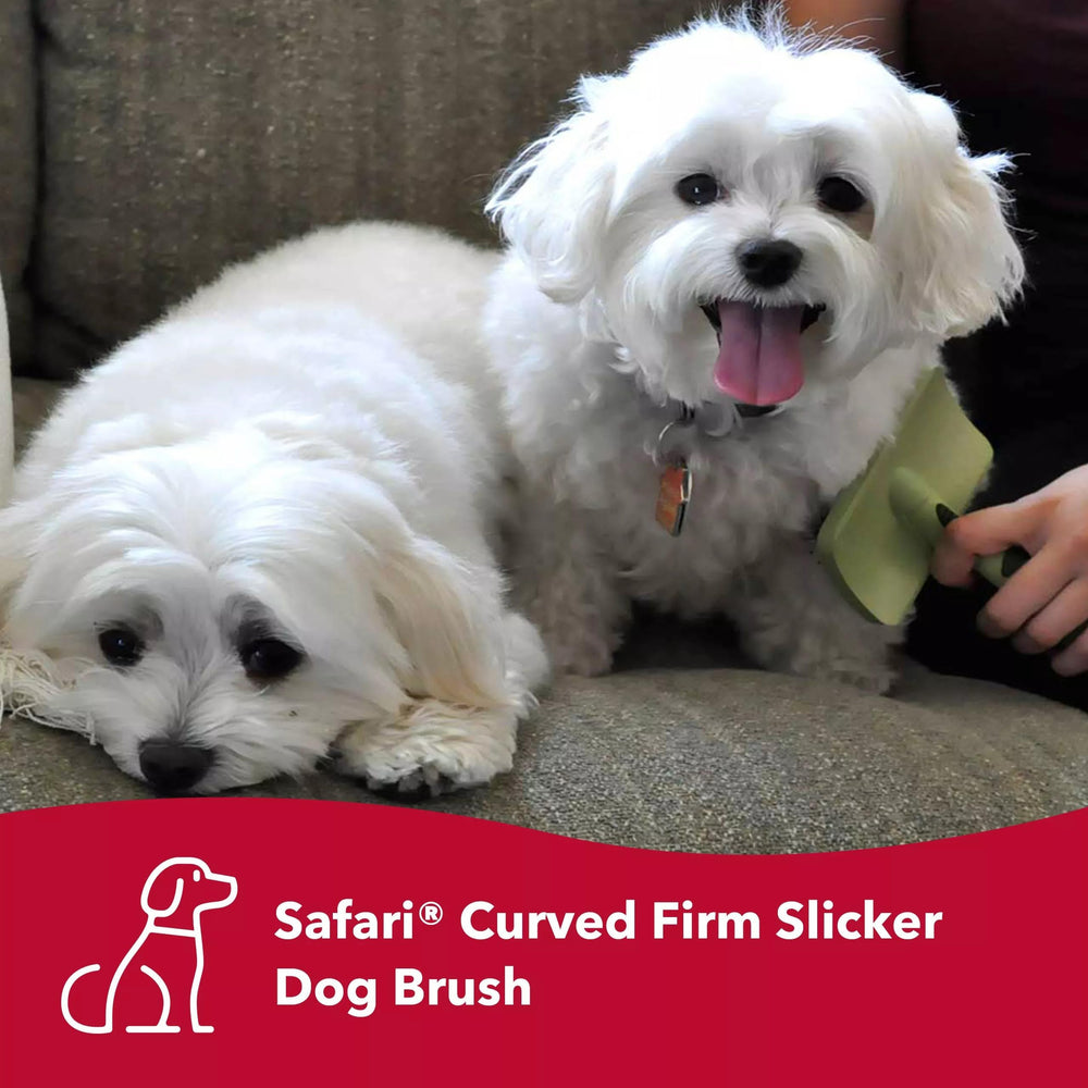 Coastal Dog Slicker Brush non-slip handle offers steady control during grooming.