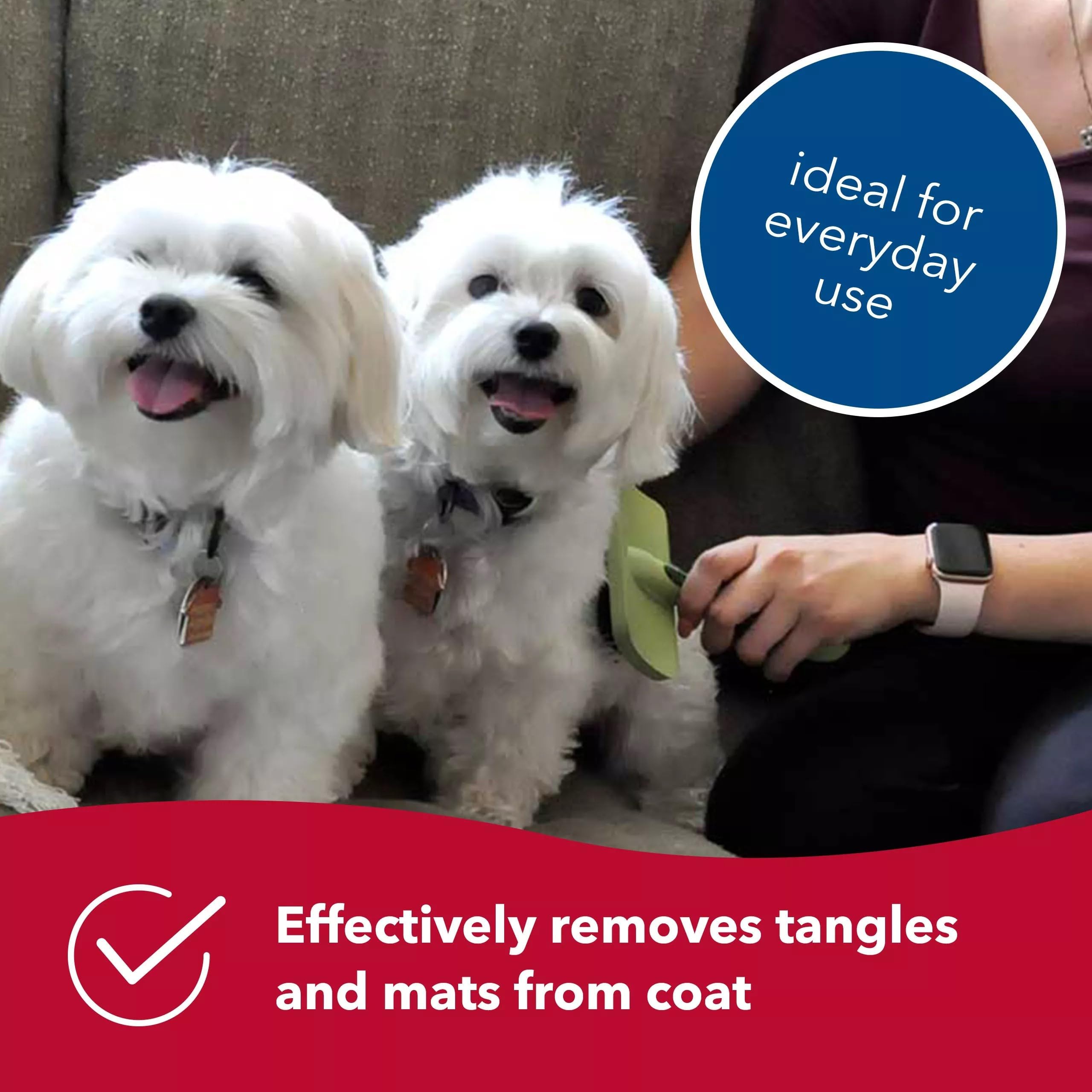 Coastal Dog Slicker Brush helps remove loose fur during routine shedding.