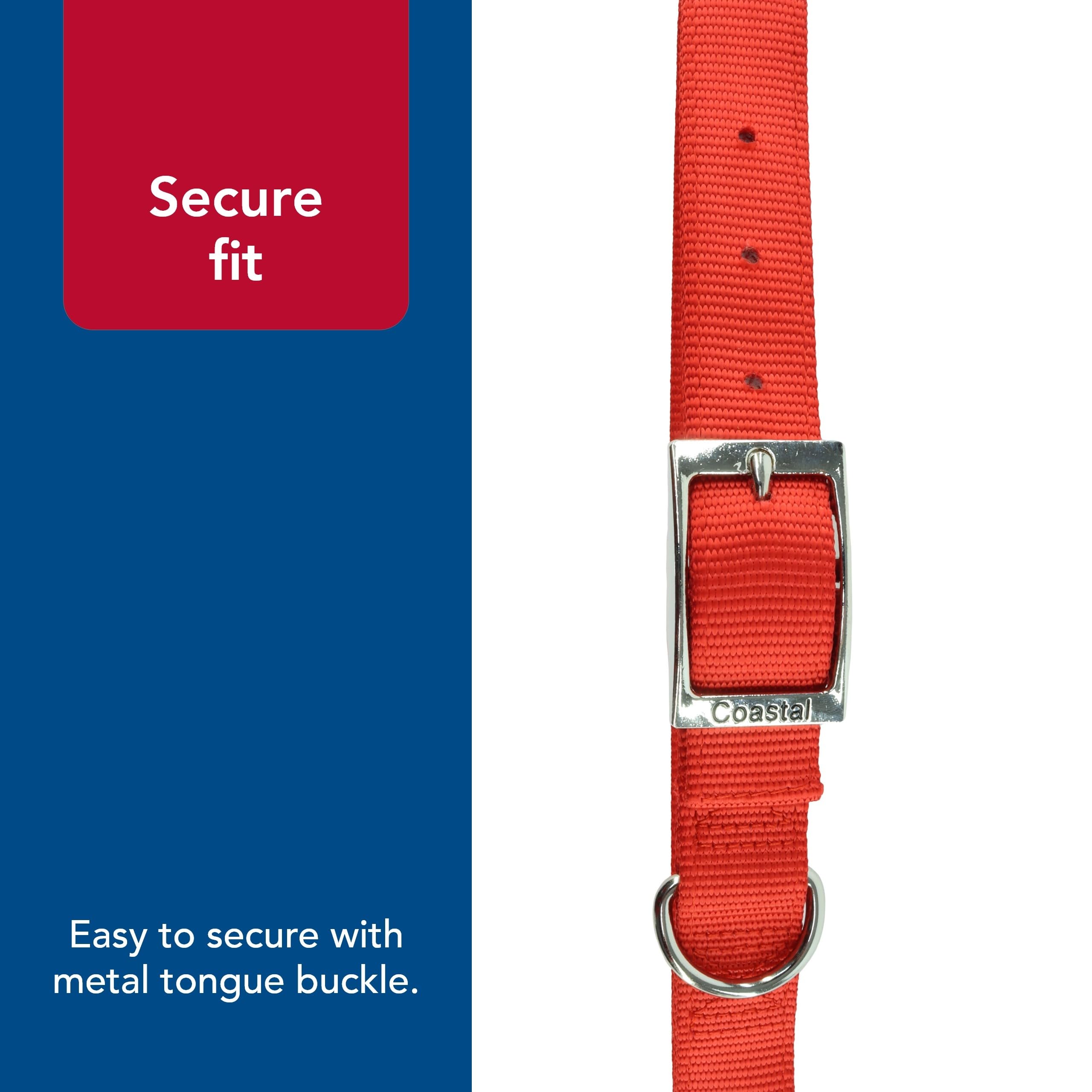 Coastal Double-Ply Dog Collar blue color swatch emphasizes fade-resistant vibrancy