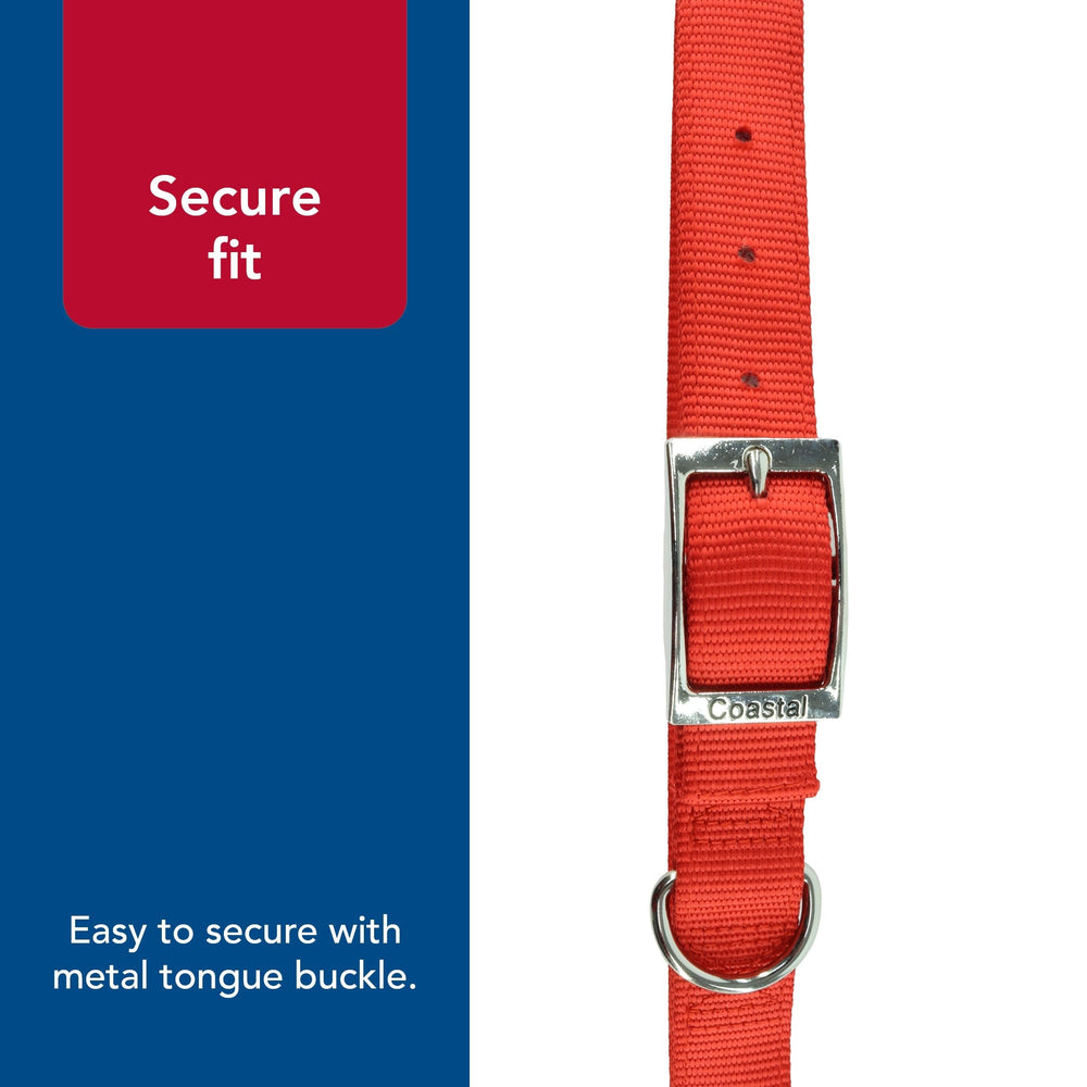 Coastal Double-Ply Dog Collar blue color swatch emphasizes fade-resistant vibrancy