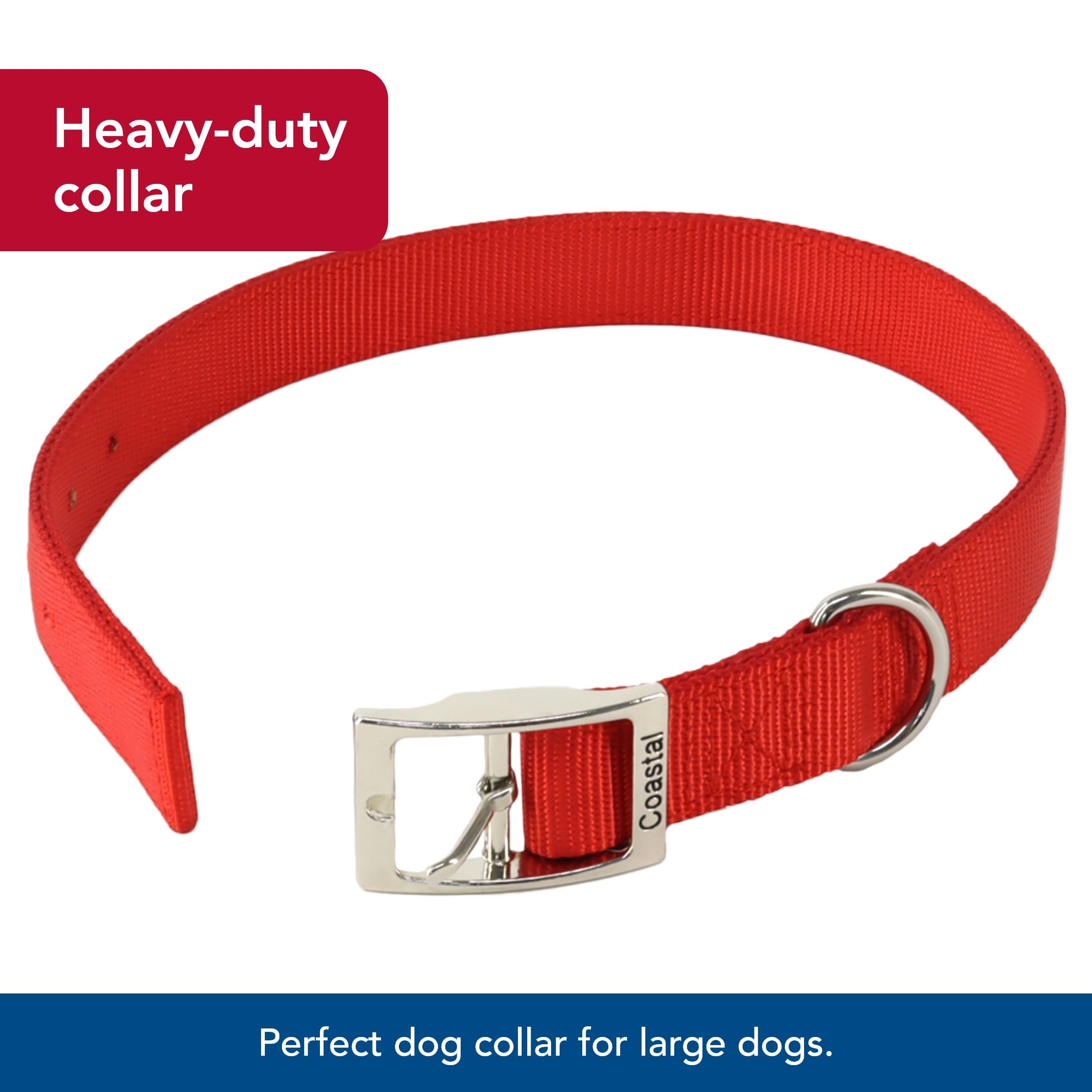 Coastal Double-Ply Dog Collar blue side profile demonstrates comfortable daily-walking fit