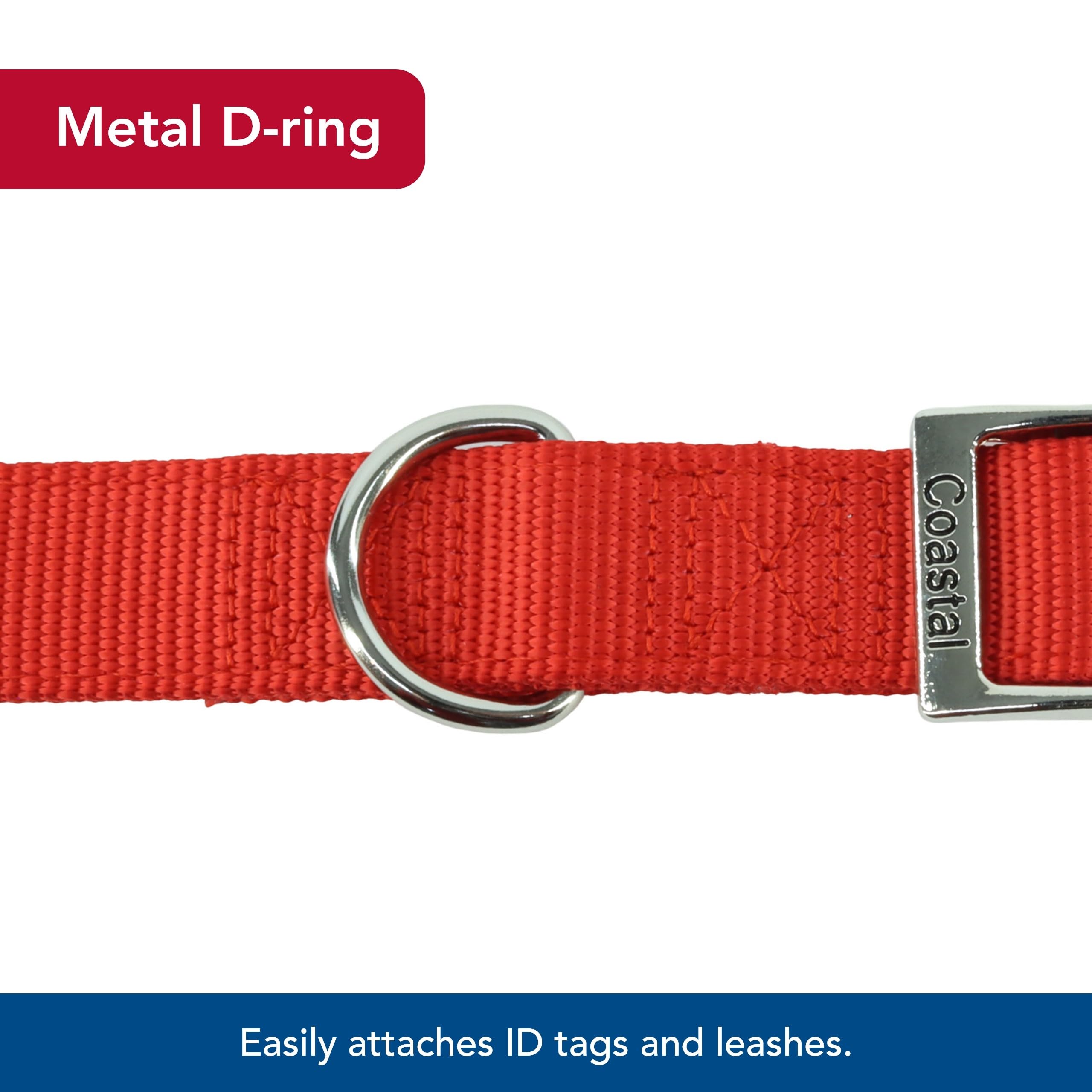 Coastal Double-Ply Dog Collar blue walk scene shows durable nylon in action
