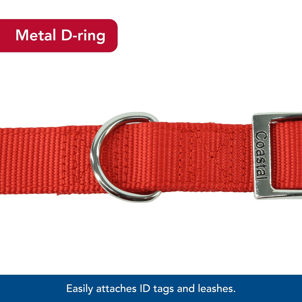 Coastal Double-Ply Dog Collar blue walk scene shows durable nylon in action